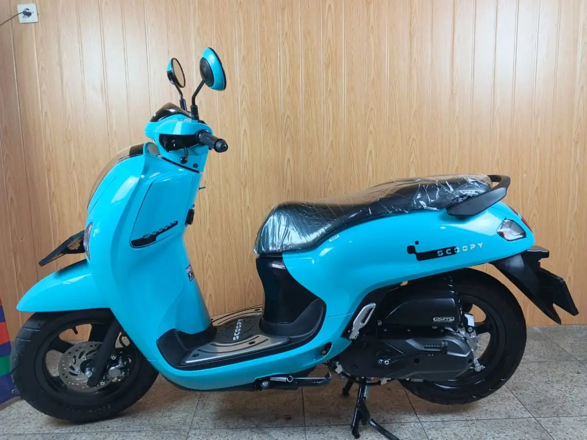 Scoopy 2026/25